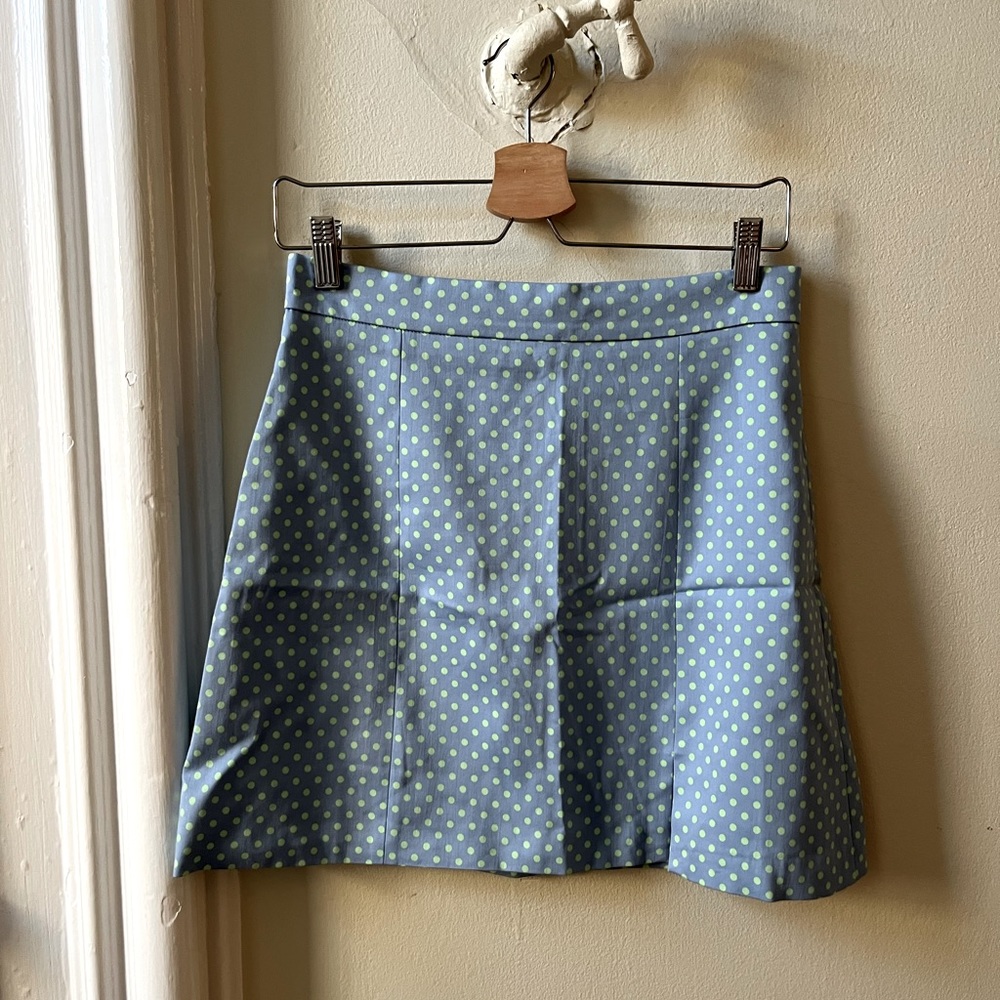 Zara Mini Skirt